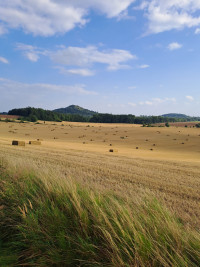 20240803-175152.jpg