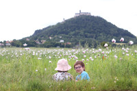 IMG-5300.jpg
